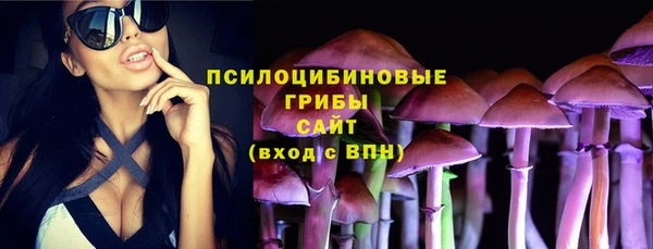 ALPHA PVP Горняк