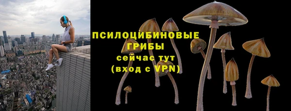 ALPHA PVP Горняк