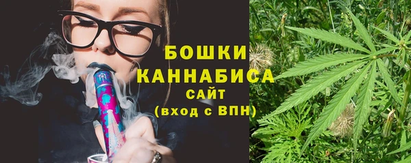 стаф Горнозаводск