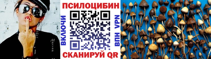 Псилоцибиновые грибы мицелий  Купить  Красновишерск 